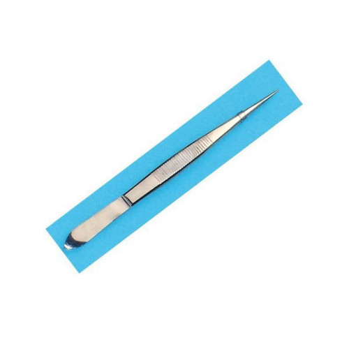 Pince dissection pointue inox, 14 cm
